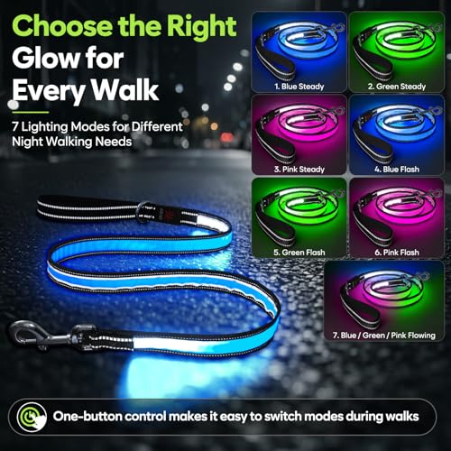 5 Ft LED Dog Leash (5 Ft)