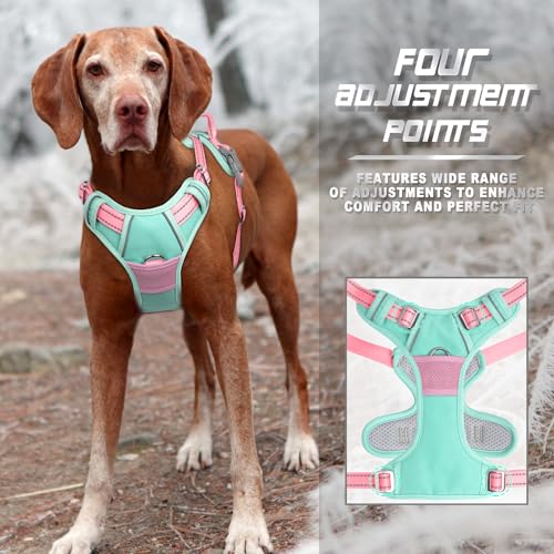 Dog Harness No Pull for Large Dogs Front Back Clips (X-Large(Chest:30-38”) / Cool Mint & Baby Pink)
