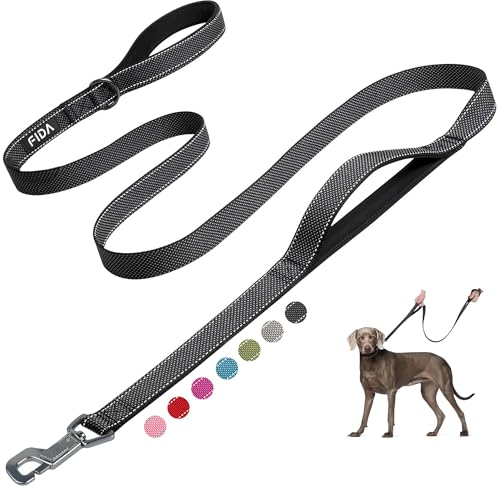 Heavy Duty Dog Leash for Medium Large Dogs (6 Feet (Pack of 1) / Black)