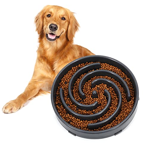 Slow Feeder Large Dog Bowl (Large / D-gray)
