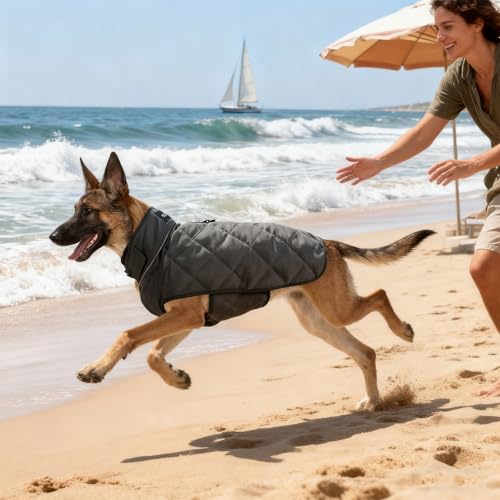 Weighted Dog Vest (Grey / Medium)