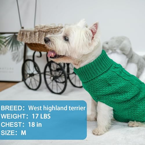 Turtleneck Dog Sweater (Small / Green)