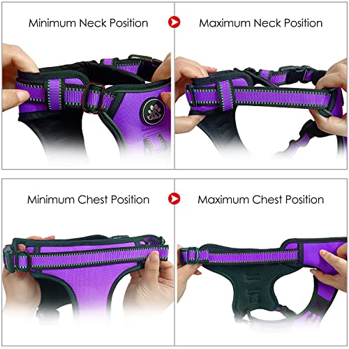 Dog Harness for Small Sized Dog (Purple / Small)