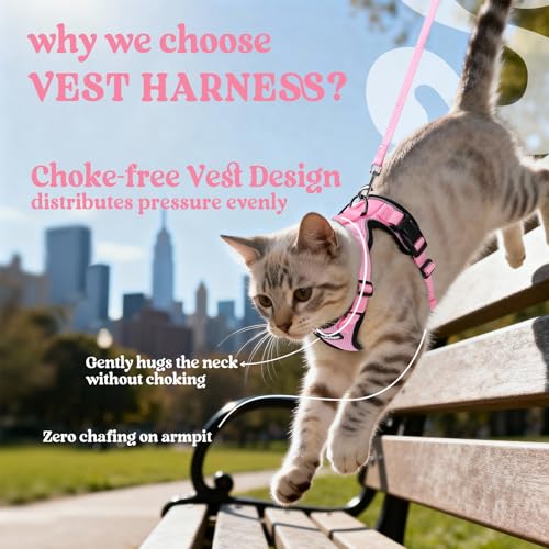 Cat Harness and Leash Set (Xxs / Pink)
