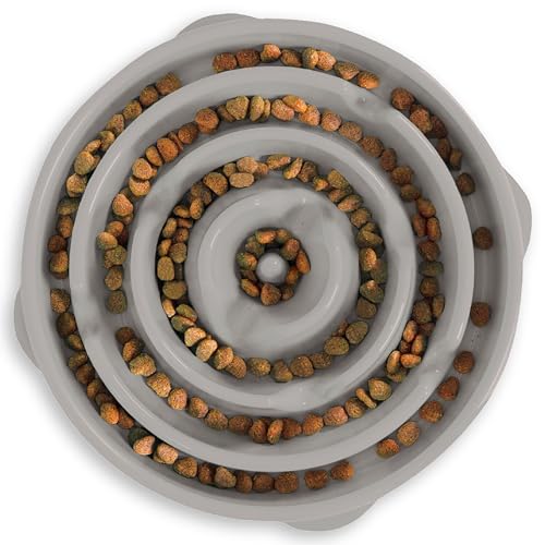 Fun Feeder Slo Bowl Dog Slow Feeder (Gray / Large)