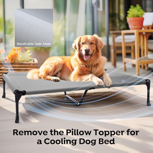 Outdoor Elevated Dog Bed with Waterproof Bolster Cushion (Light Grey / 49.0"L x 33.0"W x 9.0"Th)