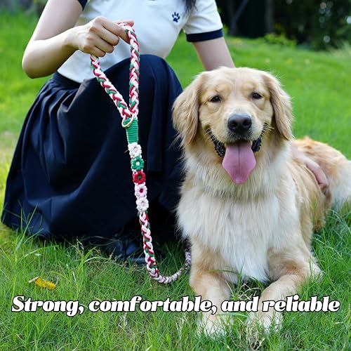 5FT Braided Cotton Rope Leash for Small (Strawberry)