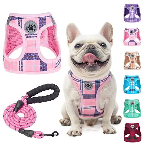 Large Dog Harness and Leash Set (Large(Chest Girth 18" - 21") / Pink)