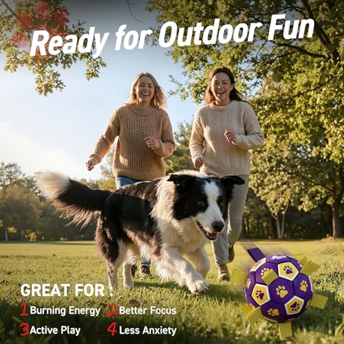 Dog Ropes Toys (Purple Yellow / 8 Inch)