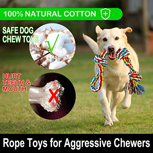 Large Dog Chew Toys for Aggressive Chewers