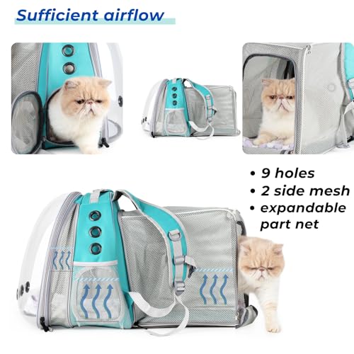 Cat Carrier Backpack (Square Back Expandable-Green)