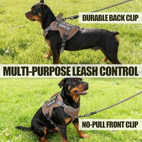 Dog Harness and Leash Set for X (Khaki / XL)