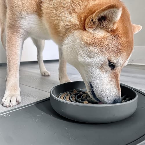 Slow Feeder Dog Bowl (Charcoal - Rainbow Design / Medium (7.5” Across x 1.5” Tall))