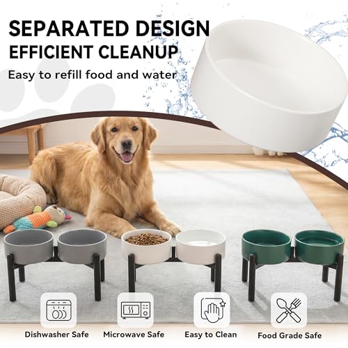 Raised Ceramic Dog Bowl Set with Stand (White / 2 Bowls - 7.5 Cups Each)