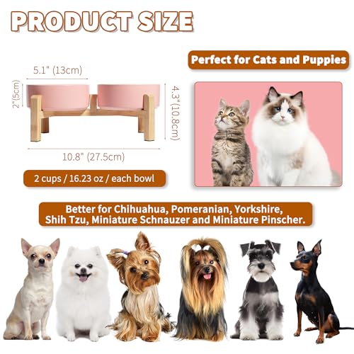 Elevated Ceramic Dog Bowl (Pink / Small)