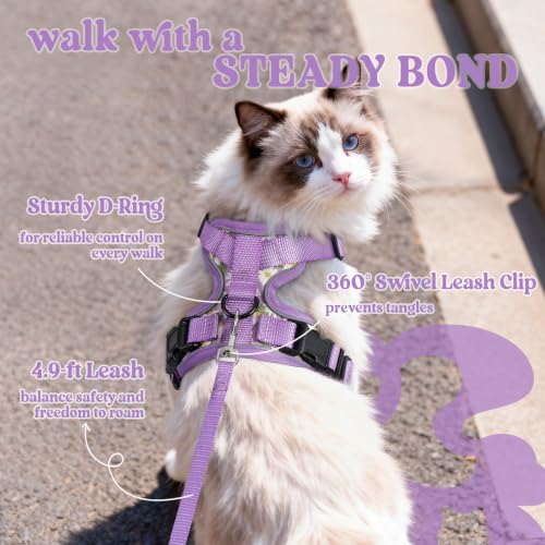Cat Harness and Leash Set (Xxs / Purr-ple Daisy)