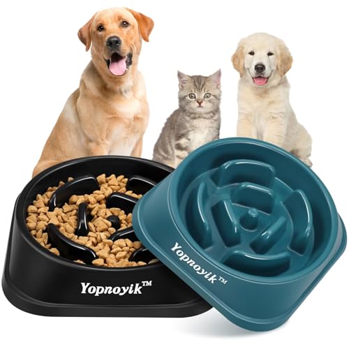 2 Pack Slow Feeder Dog Bowls for Medium Dogs & Cats (Medium / Black and Navy Blue)