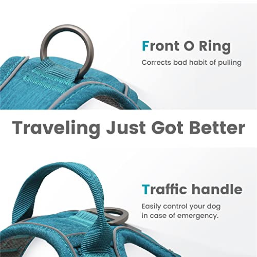Small Dog Harness (XS (Chest: 12"-17" ) / Teal Green)