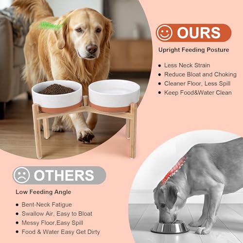 Elevated Dog Bowls Ceramic (8.3 in - 7.6 cups / Pattern White)