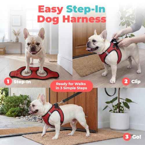 Voyager Step in Air Dog Vest Harness (Red/Black Trim / XXS (Chest: 12 - 13.5"))