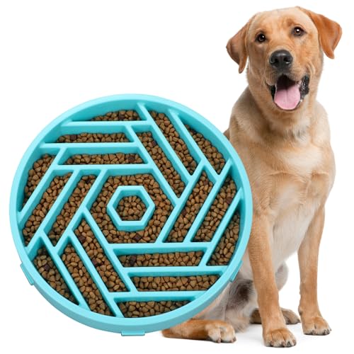 Slow Feeder Dog Bowl (sky blue)