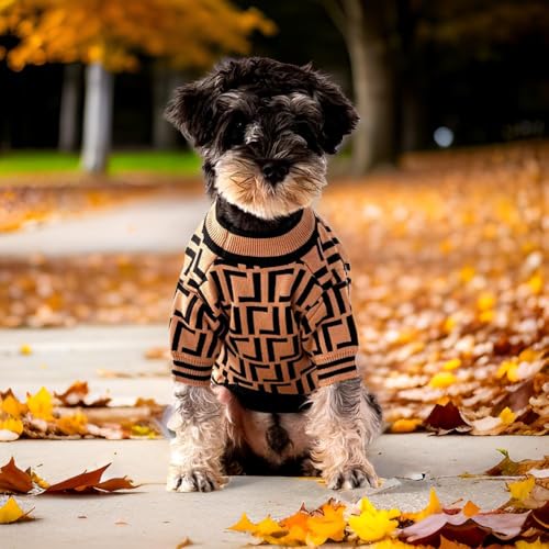 Dog Sweater for Small Dogs (Medium)