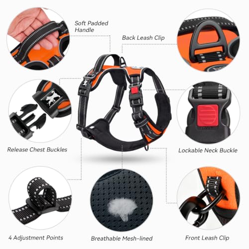 No Pull Dog Harness Small with Front Clip & Neck Release Buckle (XS / Orange)