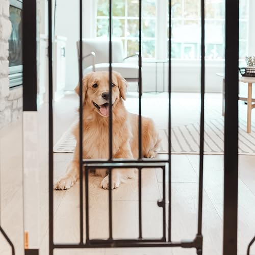Carlson 36" Extra Tall Walk Through Dog Gate for Doorways & Bottom of Stairs (Black / 29.5-36.5" W x 36" H)