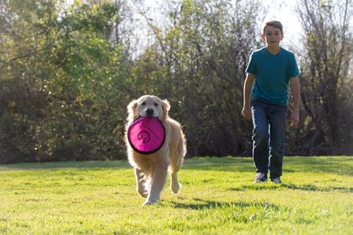 Flippy Flopper Flying Disc Soft Dog Toy 9 Inch (9" Pack of 5)