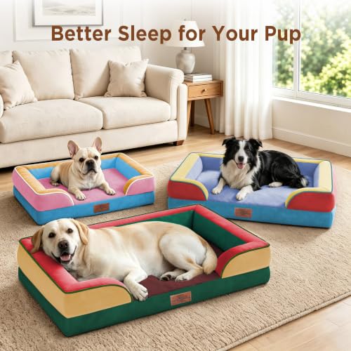 Orthopedic Dog Bed for Extra Large Dogs with Bolster (42.0"L x 30.0"W x 8.5"Th / Funfetti Fiesta)