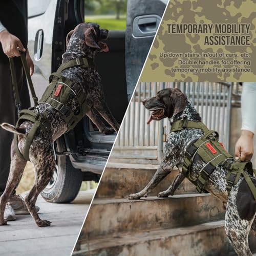 Breathable Dog Lift Harness for Medium Sized Dogs (X-Large / Green)