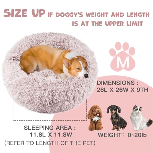 Covered Medium Dog Bed with Blanket Attached Calming Burrow Beige (26.0"L x 26.0"W x 9.0"Th / Beige)
