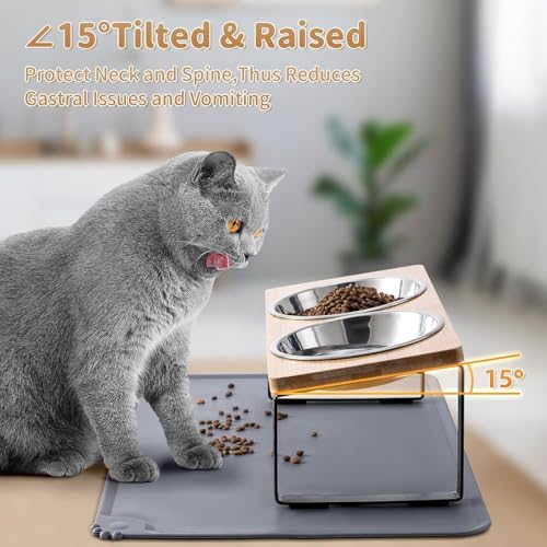 2 Pack Elevated Cat Bowls with Food Mat