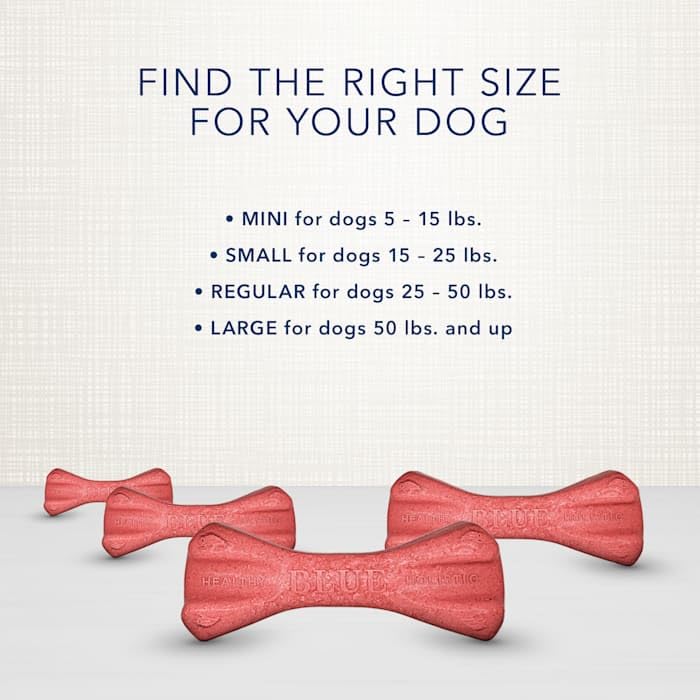 Large Dental Bones (36 Ounce (Pack of 1))