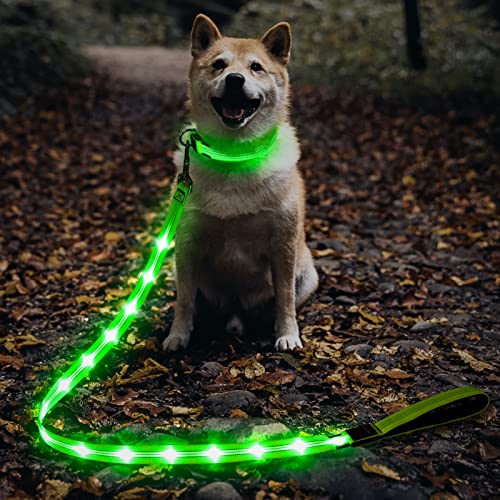 LED Dog Leash (GreenⅡ)