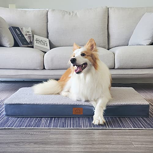 Washable Orthopedic Large Dog Bed (Grey / 36.0"L x 27.0"W x 3.0"Th)