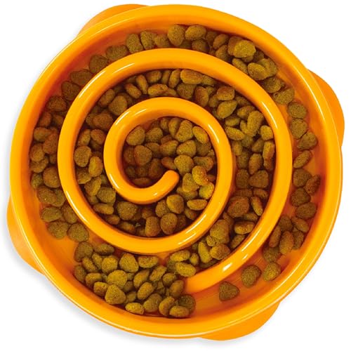 Fun Feeder Slo Bowl (Orange / Medium)