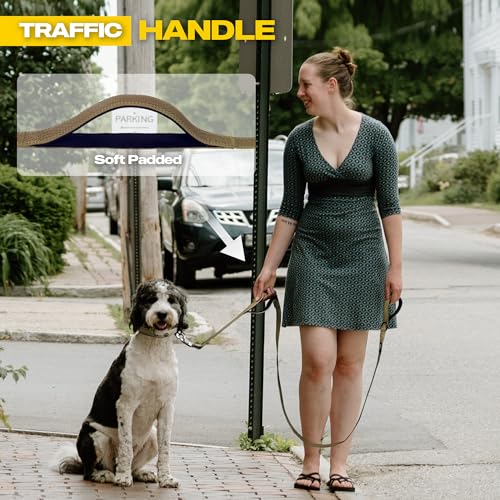 Heavy Duty Dog Leash for Medium Large Dogs (6 Feet (Pack of 1) / Brown)