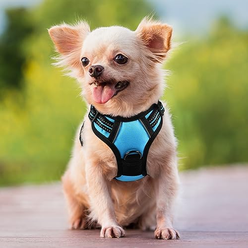 Dog Harness No Pull for Small Dogs with 2 Leash Clips (X-Small / Blue)