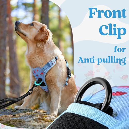 Dog Harness for Large (Large / Floral Blue)