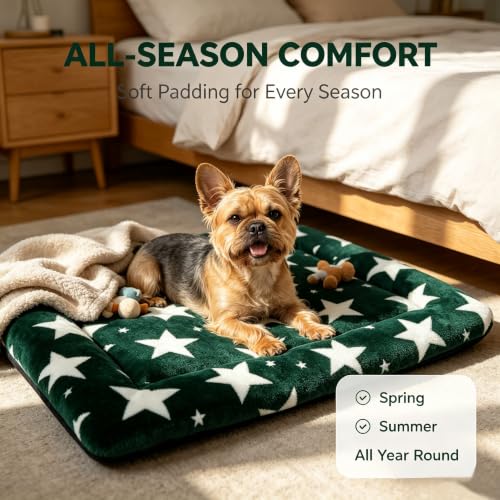 Dog Bed Mat Soft & Comfortable Dog Kennel Pad for Crate (S(24"*18"*1.5") / Big&Little Stars Green-1pc)