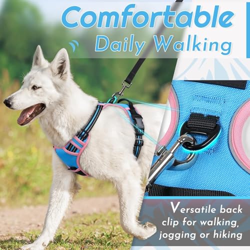 Dog Harness for Small Dogs (Small / Pink & Sky Blue)