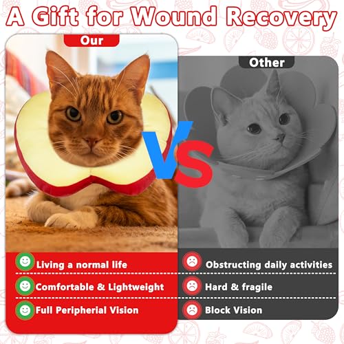Cat Cone Collar Soft (Apple / Small)