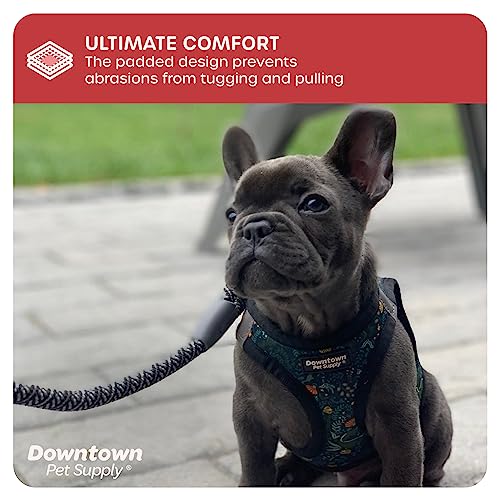 Step in Dog Harness (Medium / Dinosaur)