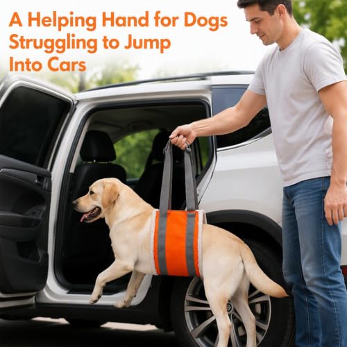 20 150lb Dog Sling for Large Dogs Hind Leg Support (Orange)