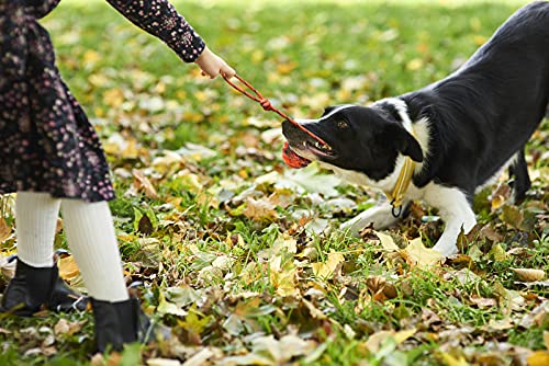 2Pcs Dog Training Ball on Rope (2pcs)