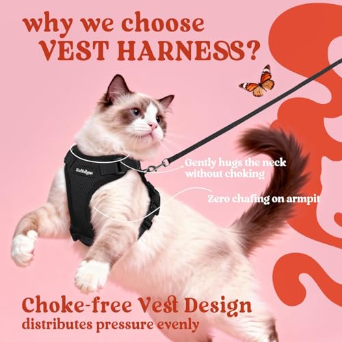 Cat Harness and Leash Set (S / Black)