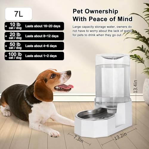Dog Water Bowl Dispenser (White / 6L Without Filter)