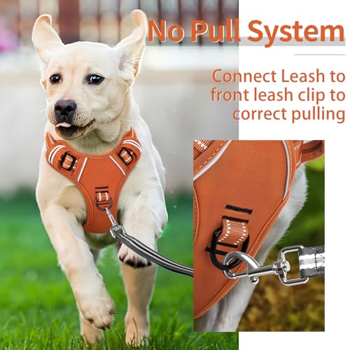 Dog Harness for Large Dogs No Pull Dog Vest Harness for Large Dog with Soft Padded Handle Reflective for Outdoor Training (L / Pumpkin Orange)