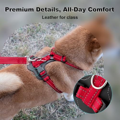 No Pull Dog Harness with Leather Accents (L / Red)